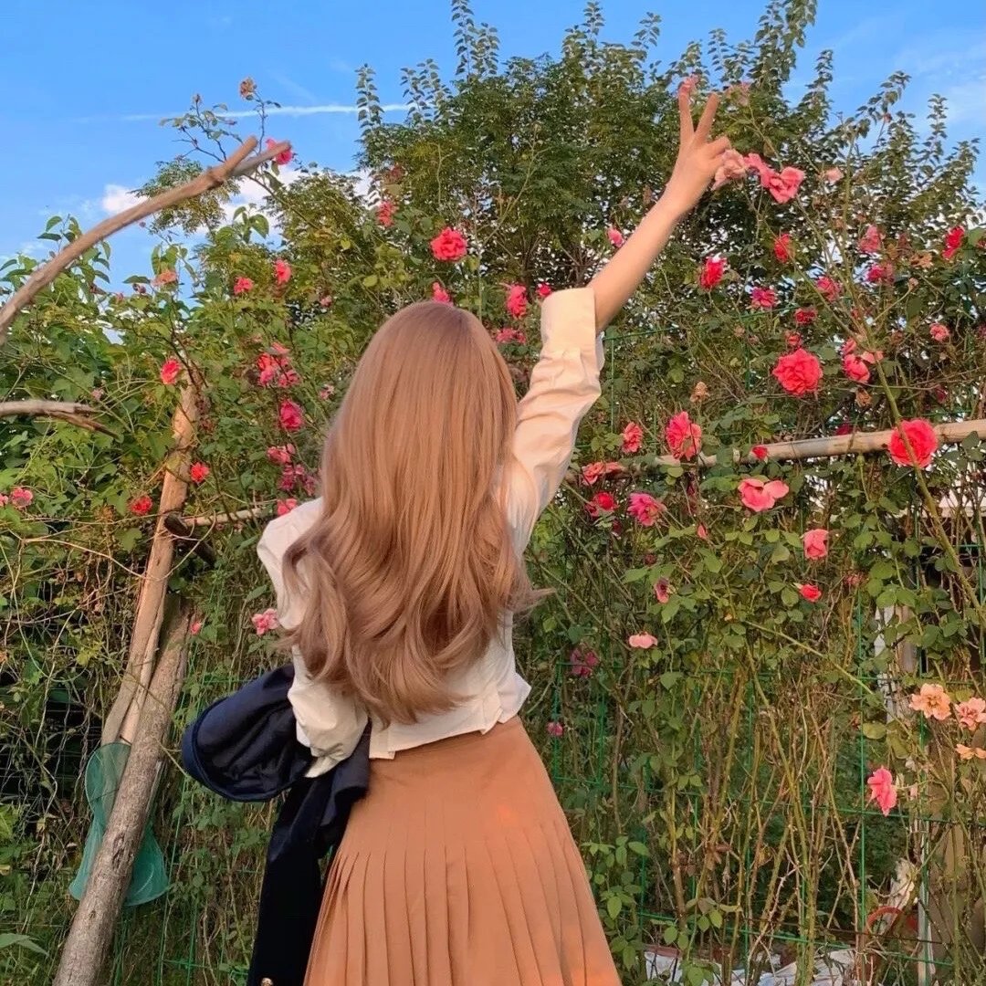 黑帆第四季