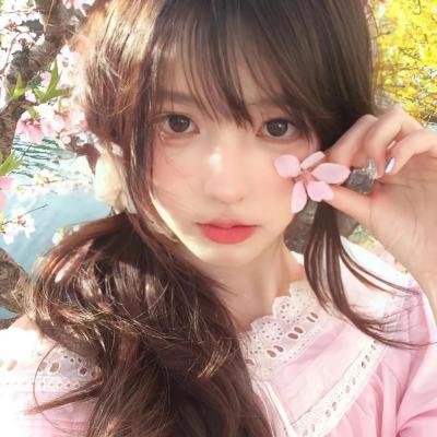 狗的审判